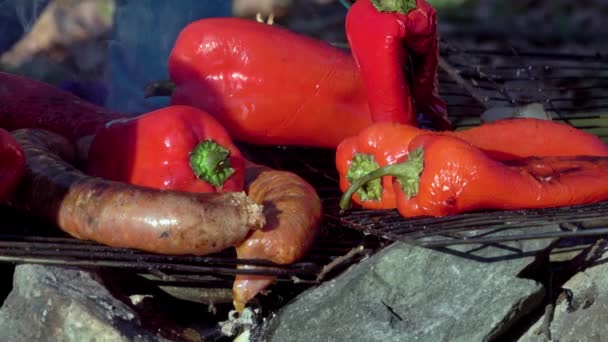 Vegetables Roasting Grill — Stockvideo