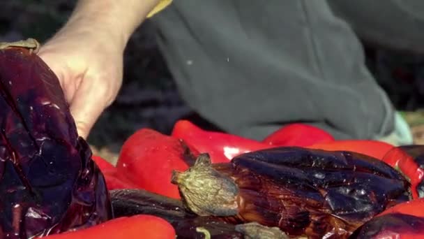 Świeżo Krojone Marynowane Warzywa Kiełbaski Grillu Pieczone Nad Grillem Węglem — Wideo stockowe