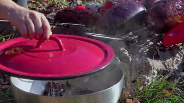 户外烧烤时 新鲜切碎的腌制蔬菜和腊肠放在烤架上烤 — 图库视频影像