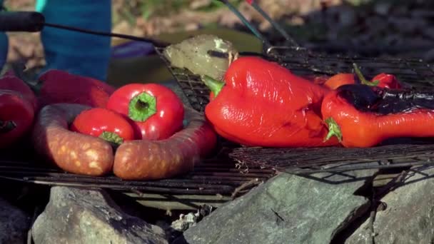户外烧烤时 新鲜切碎的腌制蔬菜和腊肠放在烤架上烤 — 图库视频影像
