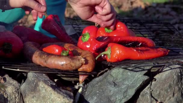 Świeżo Krojone Marynowane Warzywa Kiełbaski Grillu Pieczone Nad Grillem Węglowym — Wideo stockowe