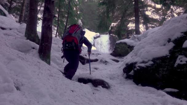 Mountaineer Man Beklimmen Van Een Besneeuwde Helling Met Een Ice — Stockvideo