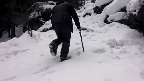 Dağcı Adam Buz Baltasıyla Karlı Bir Yamaca Tırmanıyor Kazma Kramponlar — Stok video