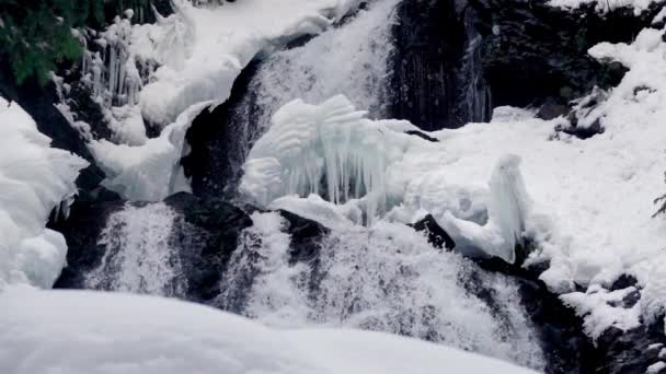 Зимовий Водоспад Лапс Водоспадом Іколами Повільний Рух — стокове відео