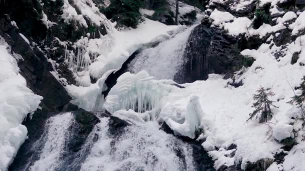 Caducidad Cascada Invierno Con Caídas Icicles Cámara Lenta — Vídeos de Stock