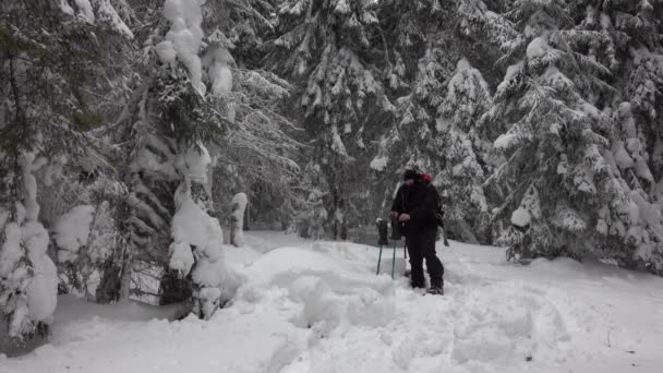 徒步旅行者快乐地在冬天的森林里享受一杯热茶或热咖啡 — 图库视频影像