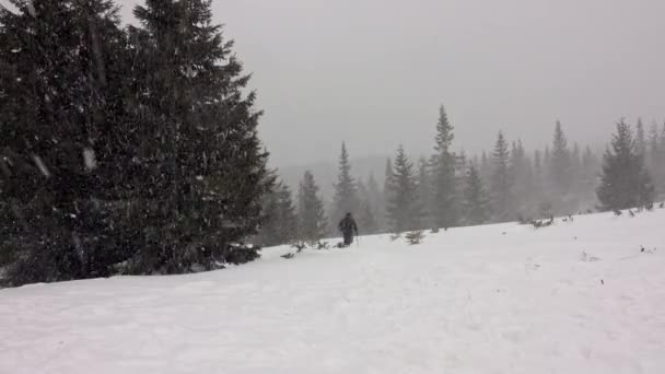 Mann Wandert Schneesturm Kalte Winterwanderung Gehender Mann Menschenberg — Stockvideo