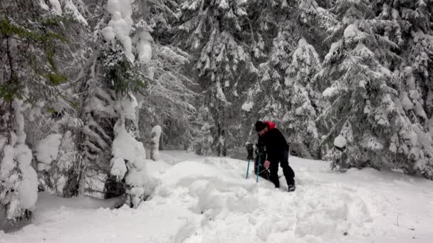 Senderista Feliz Disfrutar Una Taza Caliente Café Termos Bosque Invierno — Vídeo de stock