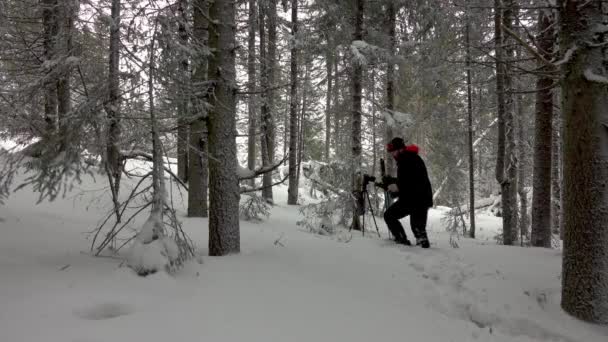 Fotograf Beim Wandern Durch Den Verschneiten Wald Einrichten Für Fotoshooting — Stockvideo