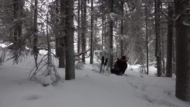摄影师徒步穿越雪地森林 设定拍照时间 — 图库视频影像