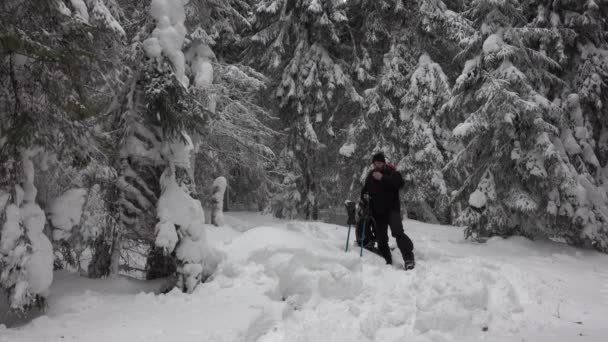 背负背包的徒步旅行者漫步于高山冬季森林 覆盖着厚厚的积雪 — 图库视频影像
