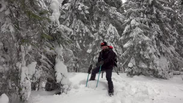 Vandrare Med Ryggsäck Promenader Mountain Winter Forest Täckt Med Djup — Stockvideo