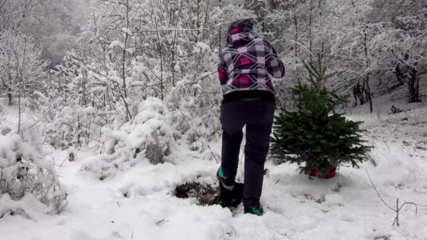 Bir Çift Noel Ağacı Dikiyor Tatilden Sonra Ormanda — Stok video