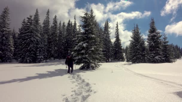 Caminhante Com Sapatos Neve Andando Floresta Inverno Montanha Coberto Com — Vídeo de Stock