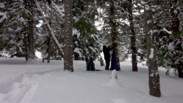 Turista Sněžnicemi Utábořil Tábor Pod Stromy Zimním Lese Padá Sníh — Stock video