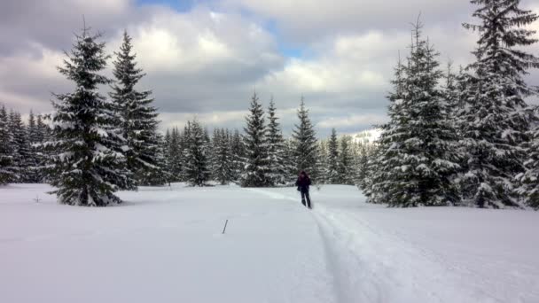 Escursionista Con Ciaspole Piedi Nella Foresta Montana Invernale Coperto Neve — Video Stock