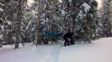 Hiker Drinking Cofee, Relaxing, Lying In Hammock In Winter Forest