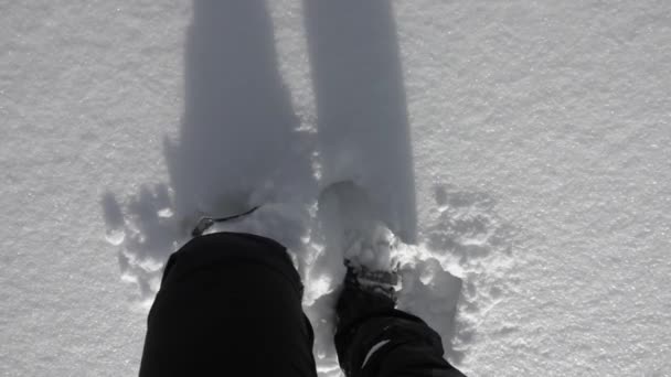 Hiker Snowshoes Walking Deep Snow — 비디오