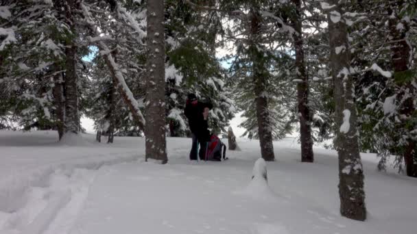 Hiker Snowshoes Preparing Camp Trees Winter Forest — 图库视频影像