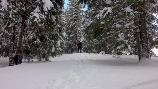 Man Running Away Winter Forest — 图库视频影像