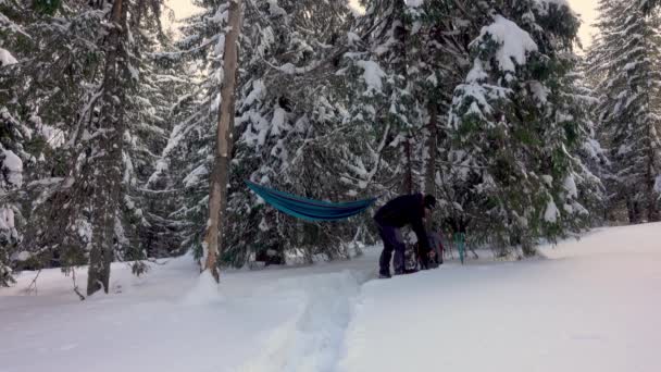 Hiker Drinking Cofee Relaxing Lying Hammock Winter Forest — ストック動画