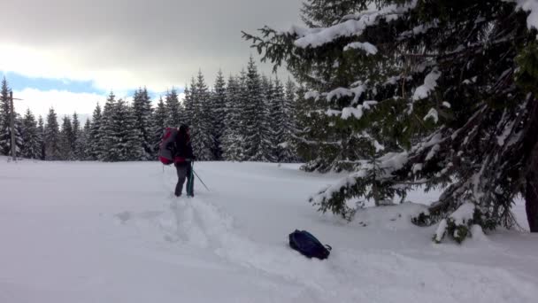 Happy Hiker Headsets Backpack Walking Mountain Winter Forest — Vídeo de Stock