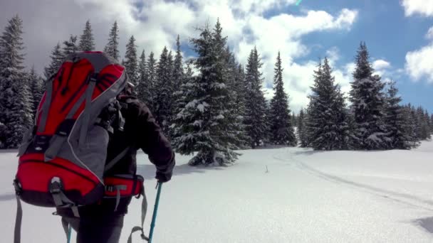 Hiker Snowshoes Walking Deep Snow — Stockvideo