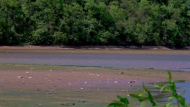 Landscape of a lake shore with low water due to drought