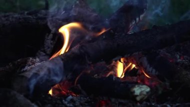 Camp fire at dawn, outdoor