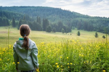 Çiçekli sarı bir tarlanın arka planında şakayıkları olan küçük bir kız.