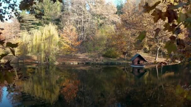 Video Jezerem Dřevěnou Chatou Podzimním Lese Lipnik Park Ruse Region — Stock video