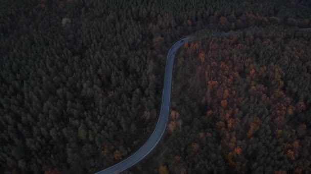 Letecký Pohled Nad Barevným Podzimním Lesem Zakřivenou Polní Cestou Velkými — Stock video