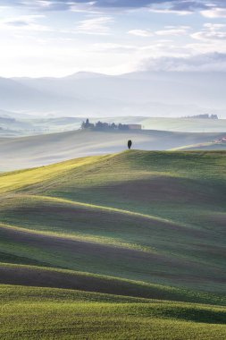 İnanılmaz bir bahar sabahı Toskana 'nın göbeğindeki yeşil tepeler arasında