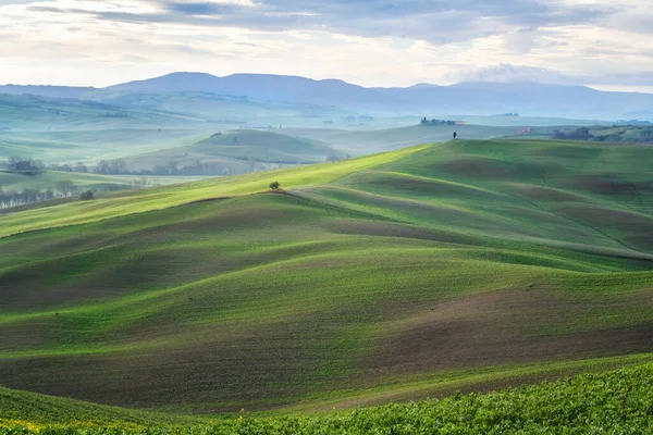 Verbazingwekkende Lenteochtend Temidden Van Pittoreske Groene Glooiende Heuvels Het Hart — Stockfoto