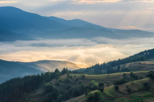 Amazing View Beautiful Low Clouds Creeping Tree Covered Mountain Slopes — Stockfoto