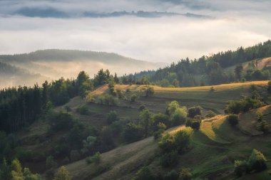 Dağ yamaçlarında süzülen tüylü alçak bulutlarla şaşırtıcı manzara, Bulgaristan 'da güneş doğarken Rodoplar