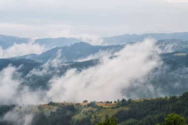Ağaçlarla kaplı dağlarda süzülen güzel alçak bulutların muhteşem hava manzarası, Bulgaristan 'daki Rodoplar