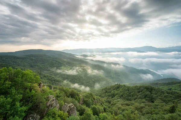 美丽的低云在布满树木的山坡上爬行 令人惊叹的空中景观 日出时分 保加利亚的罗多帕斯山脉 — 图库照片