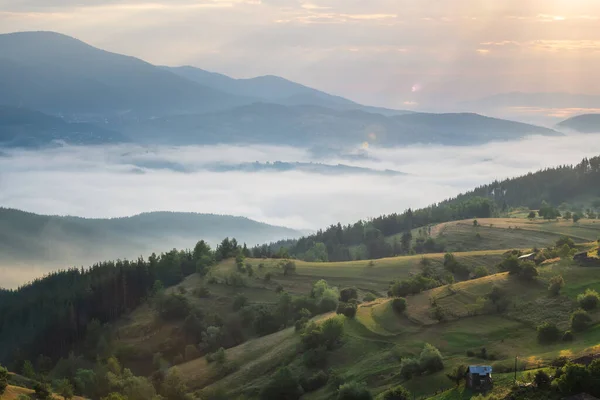 Prachtig Uitzicht Met Pluizige Lage Wolken Kruipen Tussen Berghellingen Rhodopes — Stockfoto