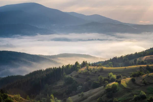 Prachtig Uitzicht Met Pluizige Lage Wolken Kruipen Tussen Berghellingen Rhodopes — Stockfoto