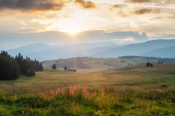 Amazing View Picturesque Mountain Meadow Distant Slopes Golden Hour Sunset — Stock Photo, Image