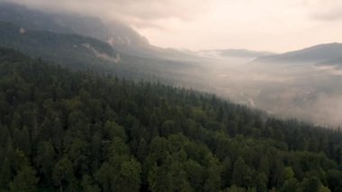 Romanya 'nın Sinaia kenti yakınlarında, güzel Peles Kalesi ve etrafındaki sisli ormanın üzerinde insansız hava aracı uçuşuyla inanılmaz bir video.