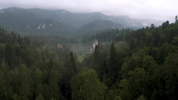 Niesamowite Wideo Lotu Drona Nad Pięknym Peles Castle Mglisty Las — Wideo stockowe