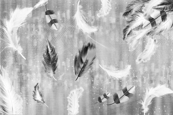 Ilustración Wallpaper White Plumas Negras Gris Claro Background Decoración Pared —  Fotos de Stock