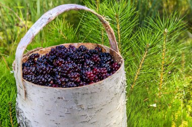 ahşap-blackberry hediyeler.