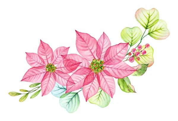 Aquarel kerstcompositie. Transparante poinsettia bloemen, hulst bessen, eucalyptus bladeren. Handgeschilderde illustratie voor wintervakantie, wenskaarten, spandoeken, kalenders — Stockfoto