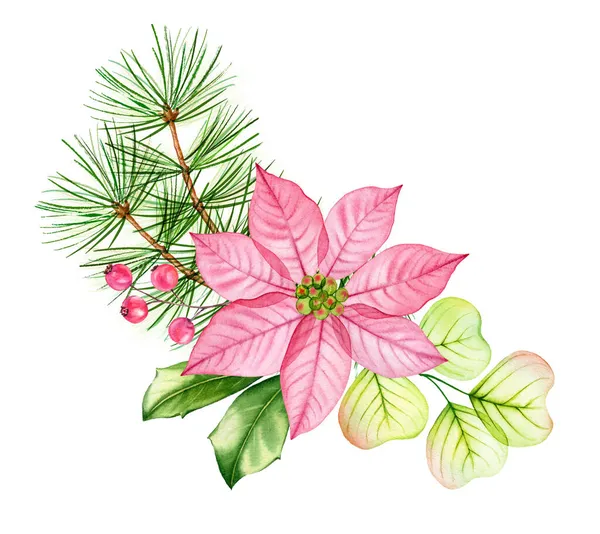 Aquarel kerstcompositie. Transparante poinsettia bloemen, eucalyptus bladeren, dennenbomen takken. Handgeschilderde illustratie voor wintervakantie, wenskaarten, spandoeken, kalenders — Stockfoto