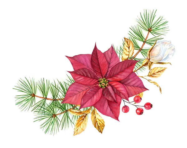 Julkomposition med julstjärna, tallkvistar och gyllene ros. Akvarell handmålad bukett för vintersemester, gratulationskort, banderoller, kalendrar — Stockfoto