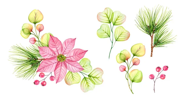 Aquarel Kerst set van elementen. Transparante poinsettia roze bloemen, hulst bessen, pijnboom takken set. Samenstelling voor wintervakantie, wenskaarten, banners, kalenders — Stockfoto