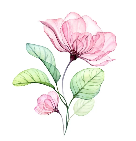 Transparent rose floral arrangement of big pink flower and eucalyptus leaves. Watercolor hand drawn illustration isolated on white for wedding stationery, card print — Foto de Stock